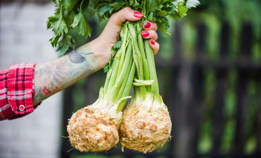 Seler w FitApetit dodaje naturalnej lekkości i chrupkości potrawom. Dostarcza błonnika i witamin, wspierając trawienie. Idealny dla osób dbających o zróżnicowane menu.